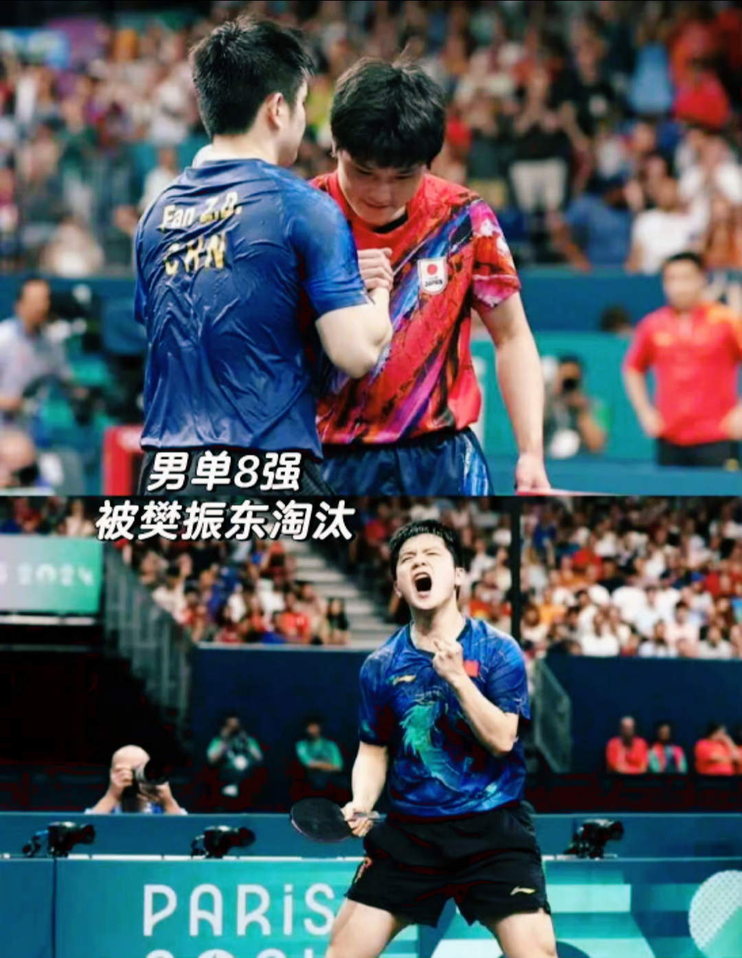 法国队完胜波兰队,张本智和点燃赛场 法国队完胜波兰队,张本智和点燃赛场