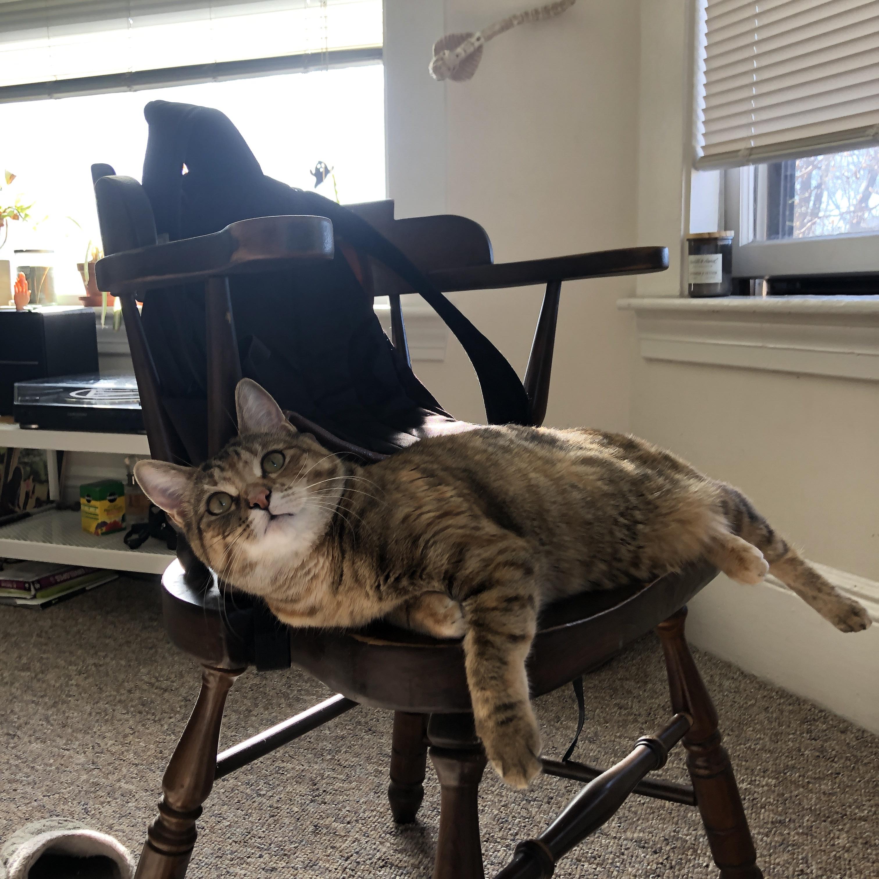 双城记与金州谜题,当英超争冠悬念叠加勇士逆转奇迹