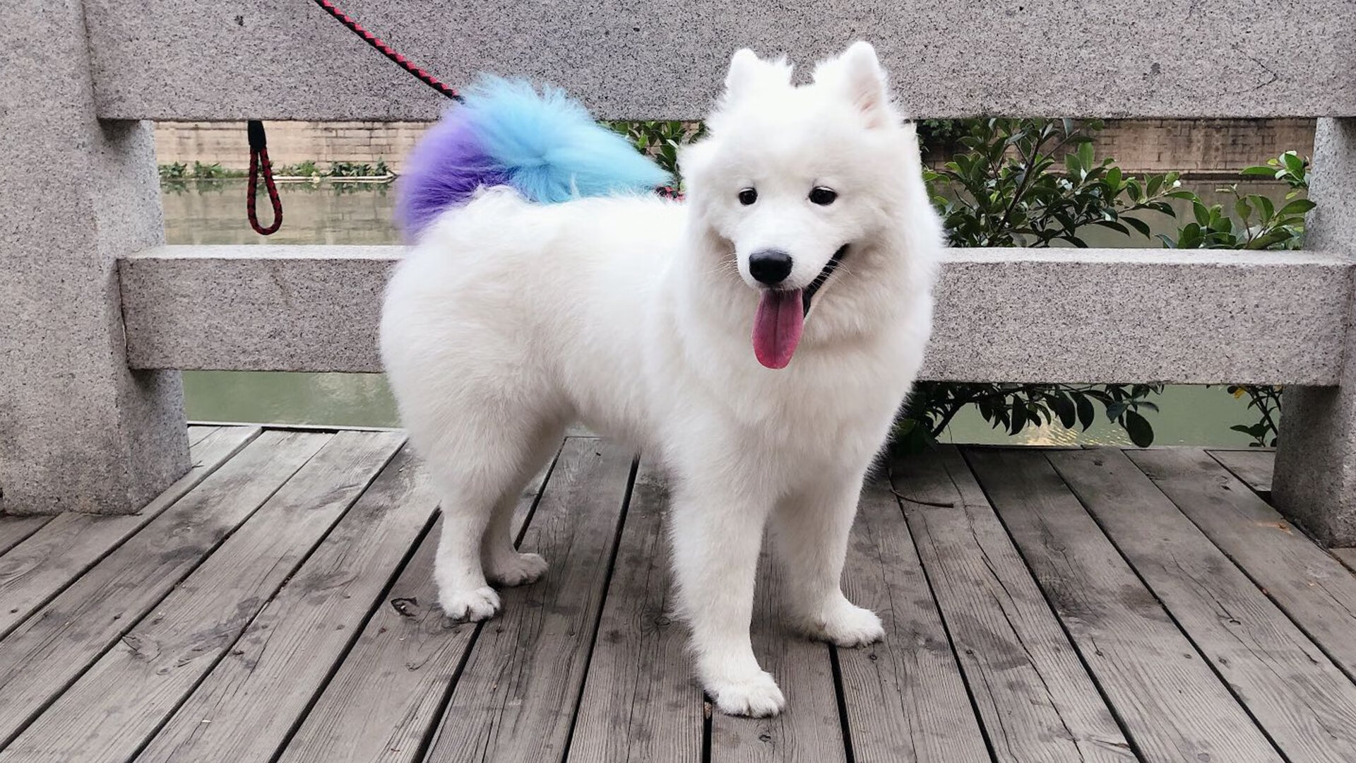 绿洲之争,尼日利亚沙漠骆驼逆转玻利维亚高原雄鹰的东决焦点战