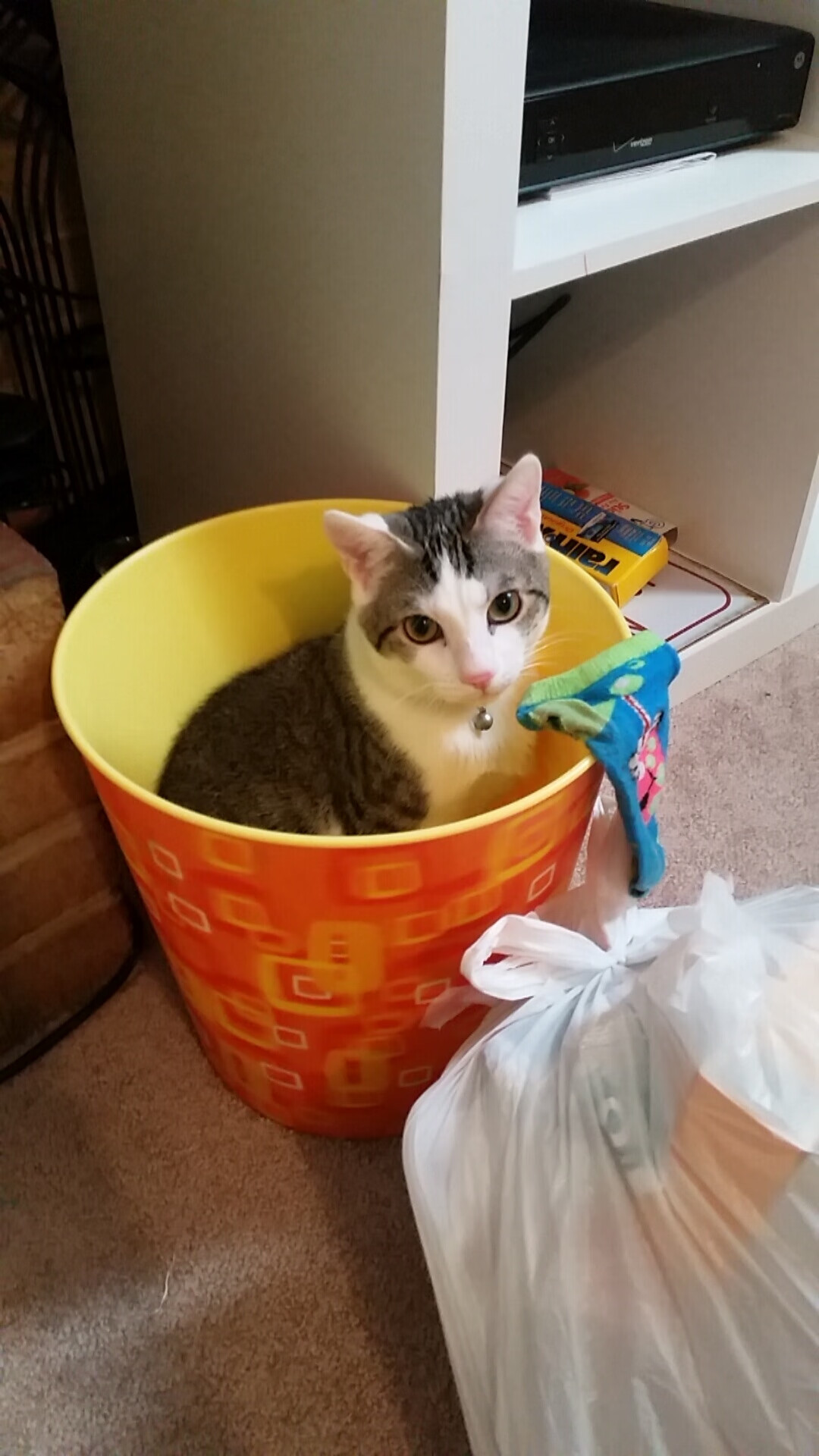 当新西兰蓝遇见曼城蓝，卡拉斯科的跨半球足球哲学