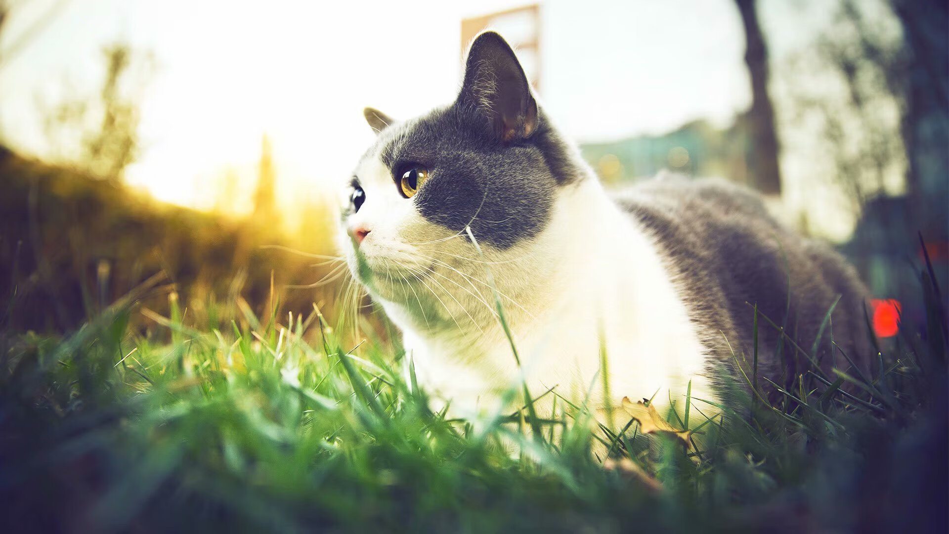 逆转之王，德布劳内抢七接管，曼城终结曼联压制时代