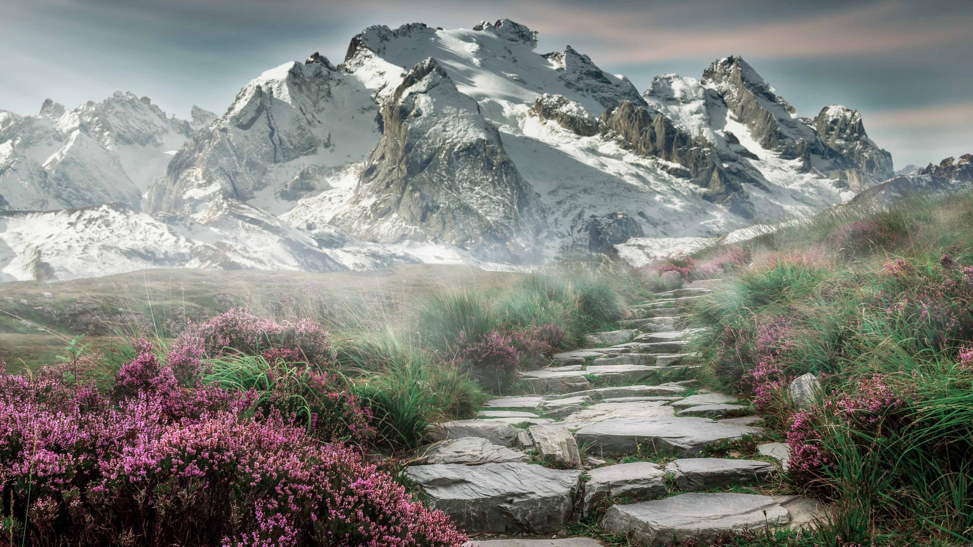 改写历史！猛龙强势拿下森林狼，西决生死战引爆联盟格局