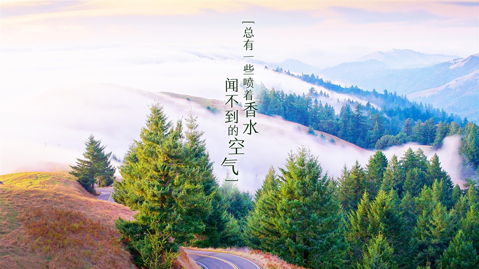 防守的胜利与无声的加冕，雄鹿铁索横江，小贾伦里程碑背后的现代篮球密码