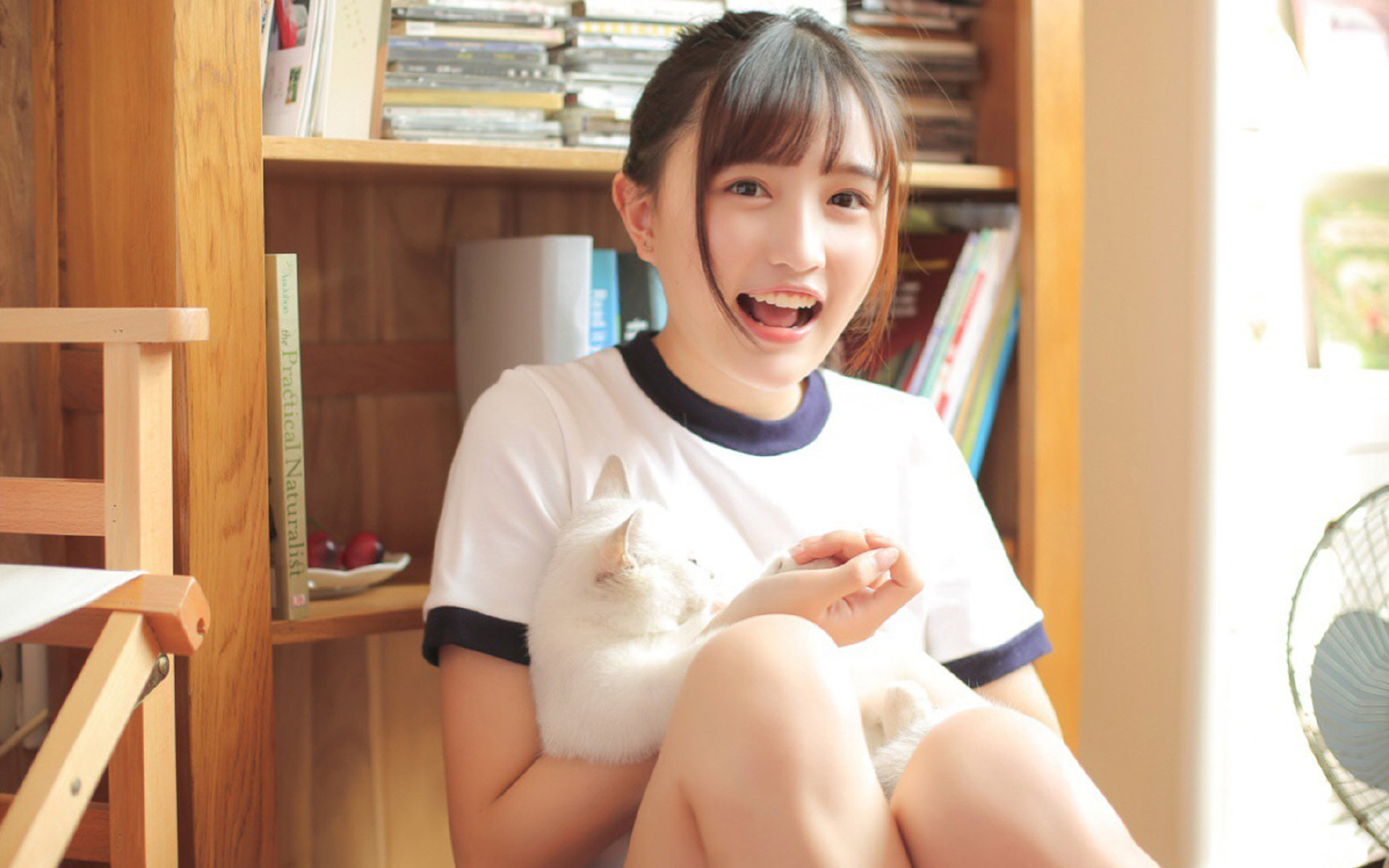 一场没有悬念的屠杀，和一个不属于英格兰的盛夏，2026揭幕战，佩德里用艺术肢解了足球