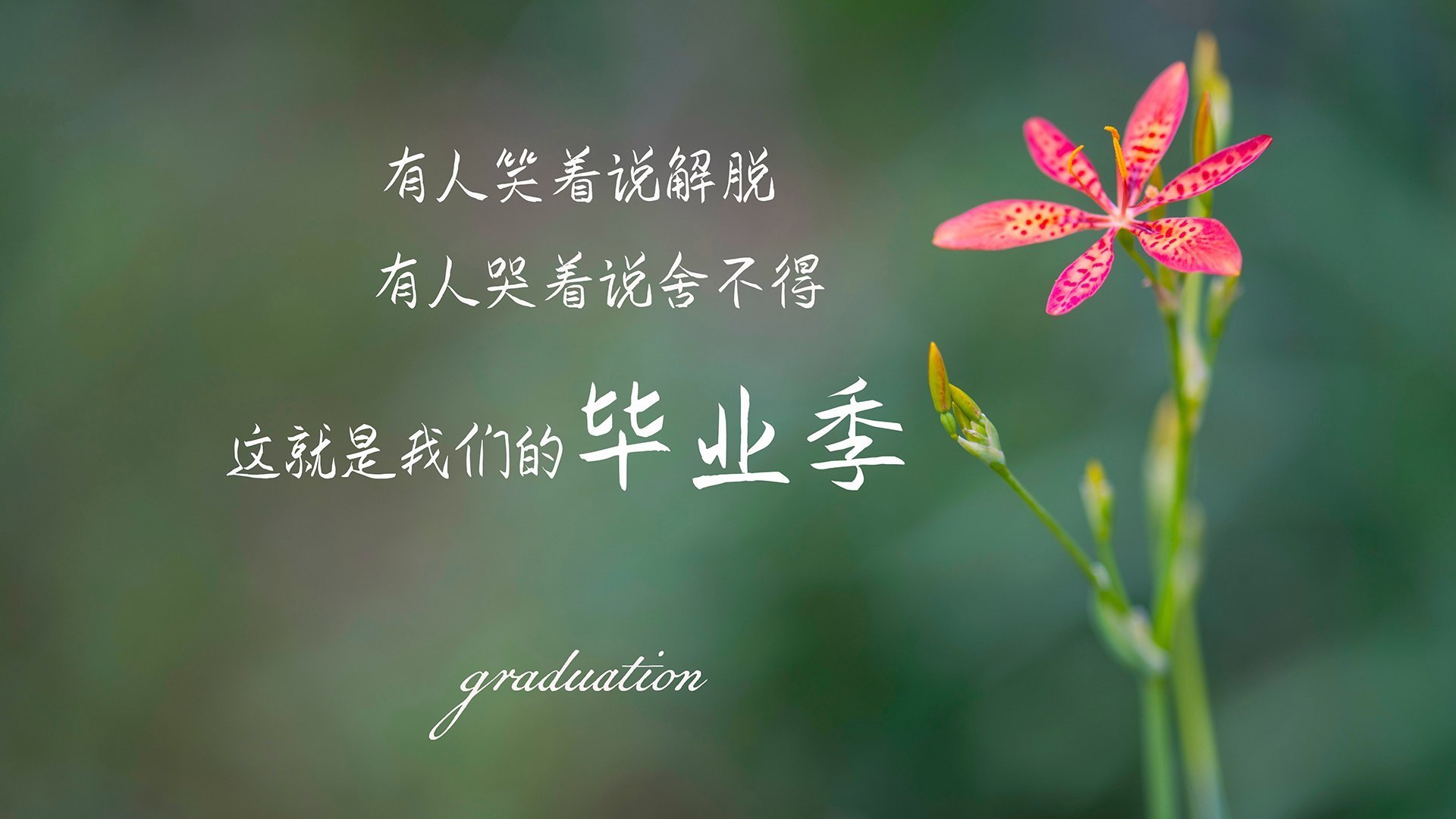 卡萨布兰卡未眠,当波兰铁骑踏碎北非神话,苏亚雷斯用90分钟写下永恒