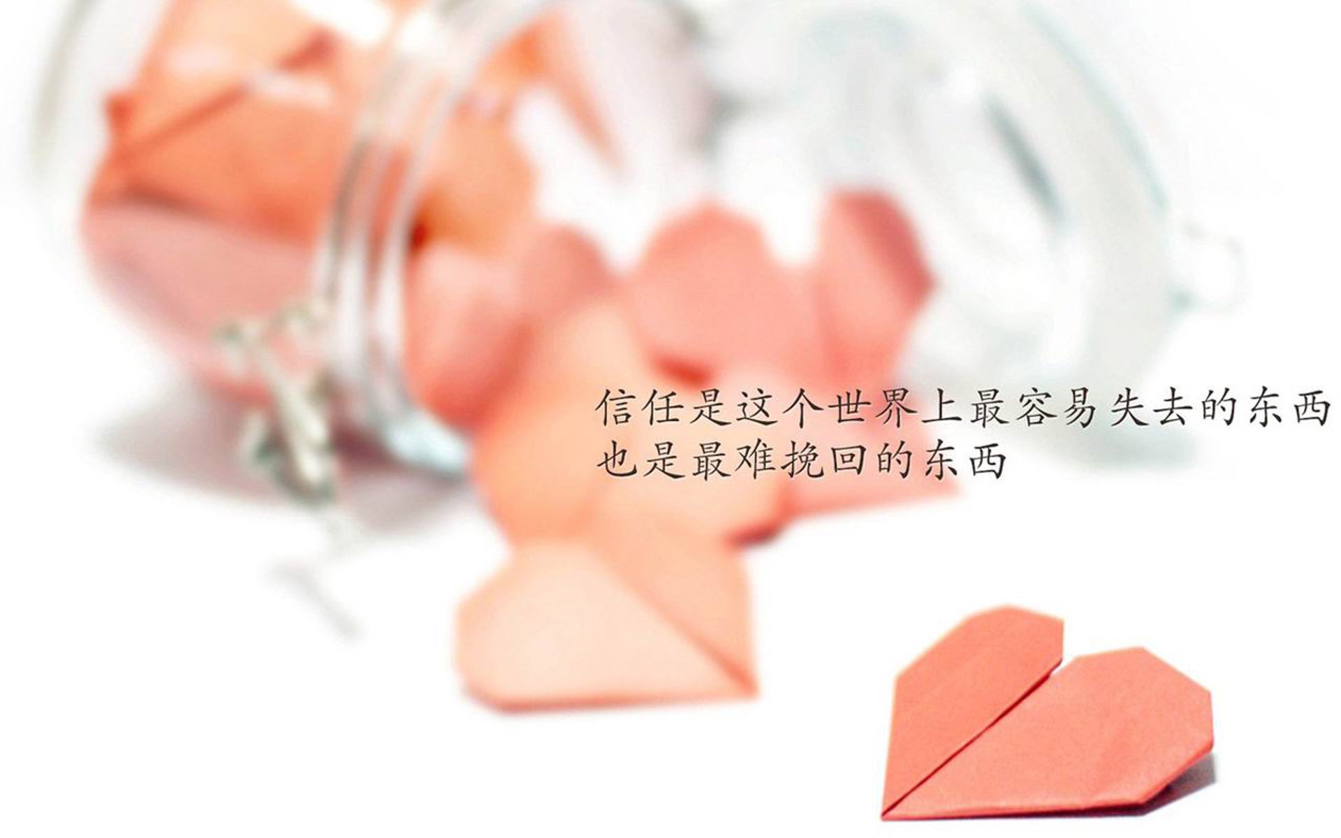 骆驼刺与仙人掌,一场改变游戏规则的冷门,与那个在风沙中起舞的非洲猎豹
