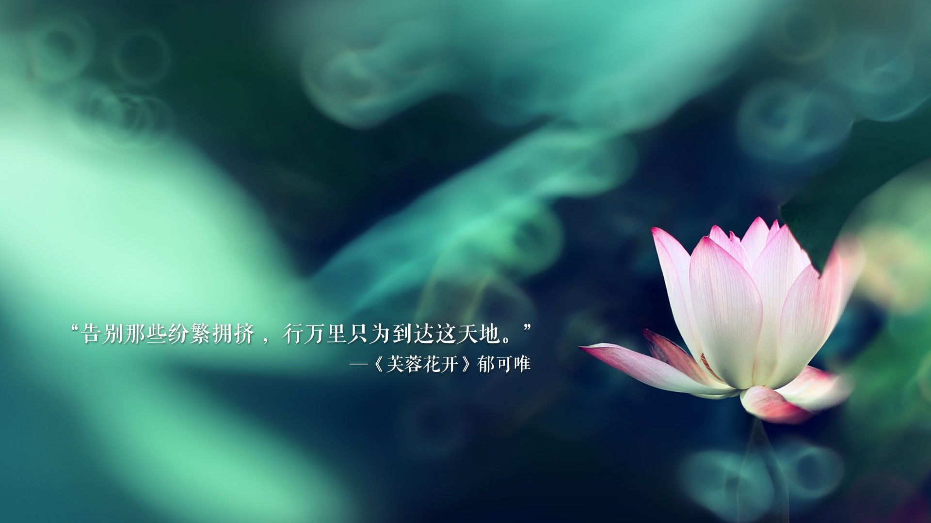 铁蹄踏碎波斯铁骑,2026世界杯F组,阿联酋冰与火之战中演世纪绝杀